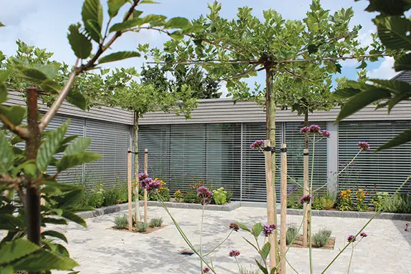 geschaeftsfuehrer_joerg_schaffitzel_mit_geschwister_sabrina_und_philipp